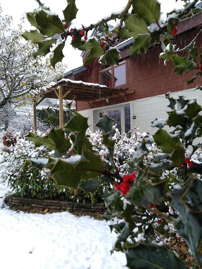 Chalet La Bachole Charancieu 3*,